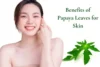How Papaya Leaves for Skin Whitening Can Transform Your Skin - Post Thumbnail