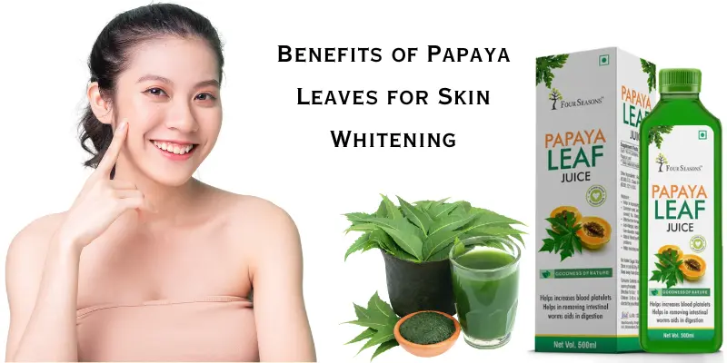 Benefits of Papaya Leaves for Skin Whitening