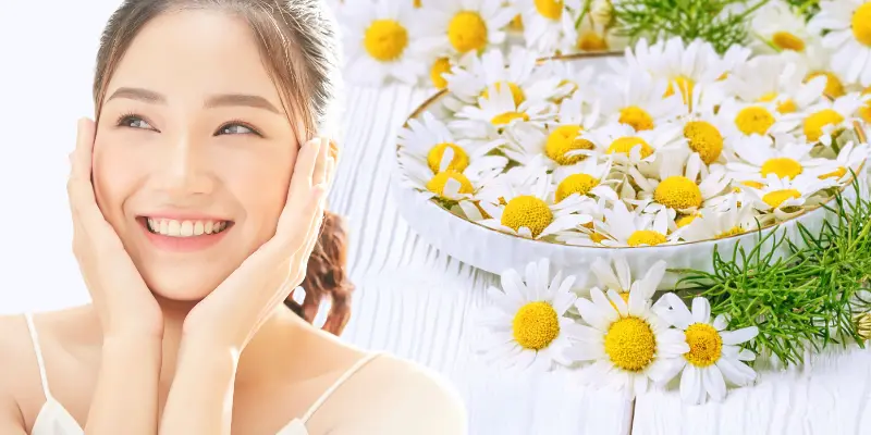 Benefits of Chamomile for Skin