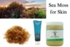 Benefits of Sea Moss for Skin and How to Use it - Post Thumbnail