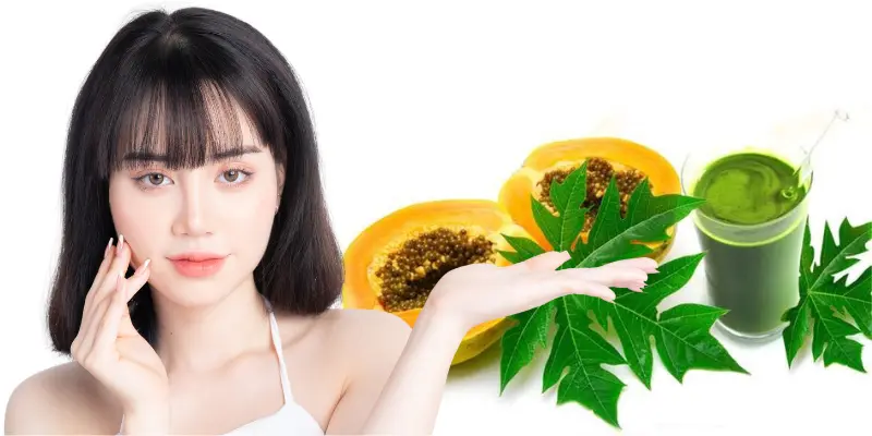 How to Use Papaya Leaves for Skin Whitening