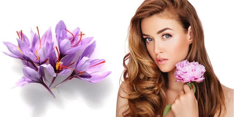 Top Benefits of Saffron for Skin